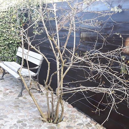 Zacisze Kalwy Apartamento Exterior foto