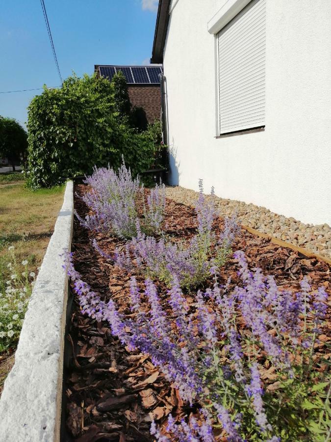 Zacisze Kalwy Apartamento Exterior foto